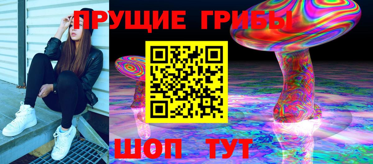 Псилоцибиновые грибы GOLDEN TEACHER Тобольск