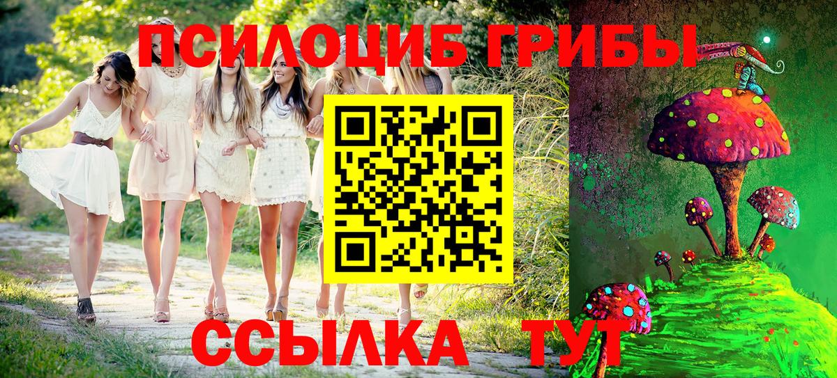 Галлюциногенные грибы MAGIC MUSHROOMS  Вход с VPN  Тобольск 