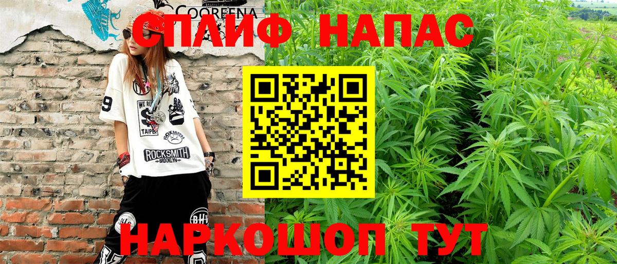 Каннабис индика  Бошки Шишки план  Тобольск  Вход с VPN  Каннабис семена  МАРИХУАНА сатива 
